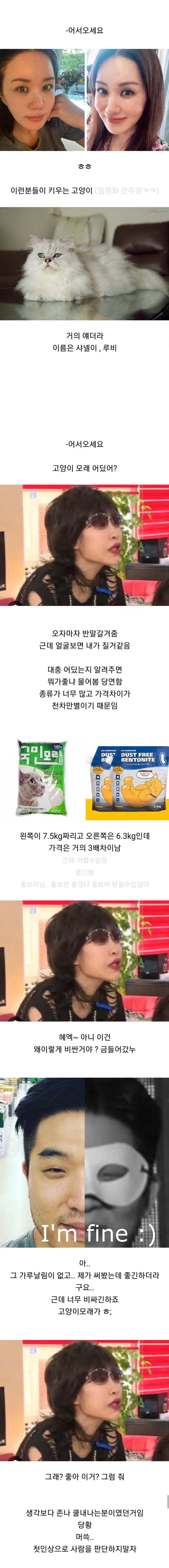 반려묘 용품샵에서 일하는 직원이 본 고양이 용품 사가는 손님들 관상 - 이미지 2