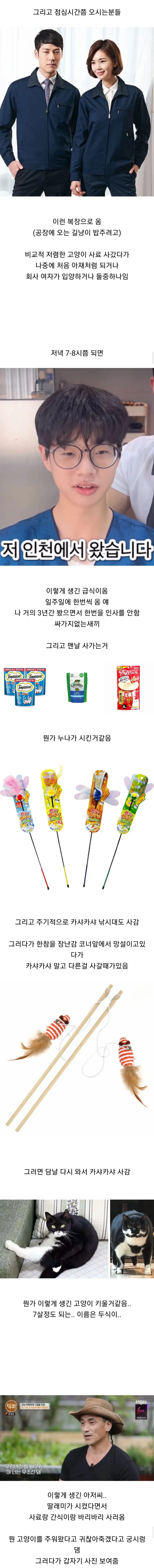 반려묘 용품샵에서 일하는 직원이 본 고양이 용품 사가는 손님들 관상 - 이미지 3