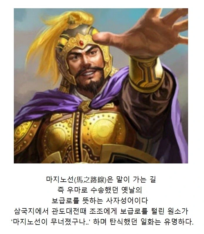 마지노선의 진실