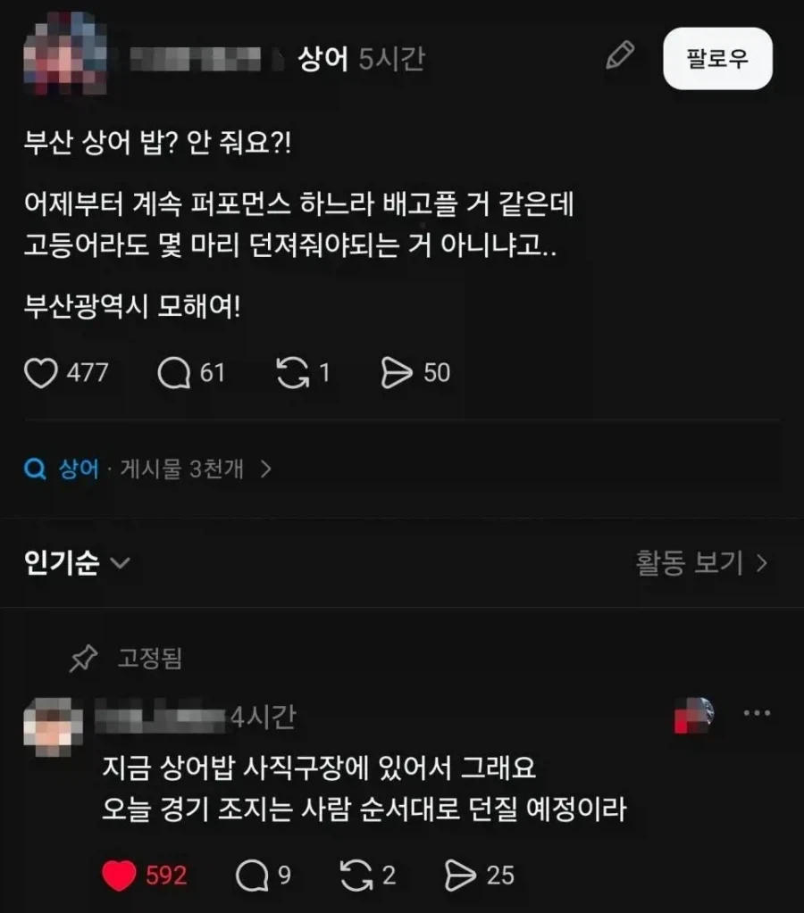 부산시가 상어한테 밥을 못 주는 이유