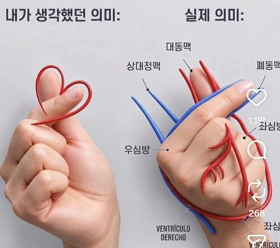 당신이 생각했던 손가락 하트의 의미 vs 실제 의미