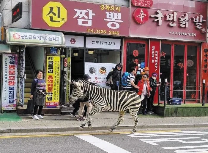 이게 벌써 3년전 사건