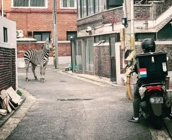 이게 벌써 3년전 사건 - 이미지 2