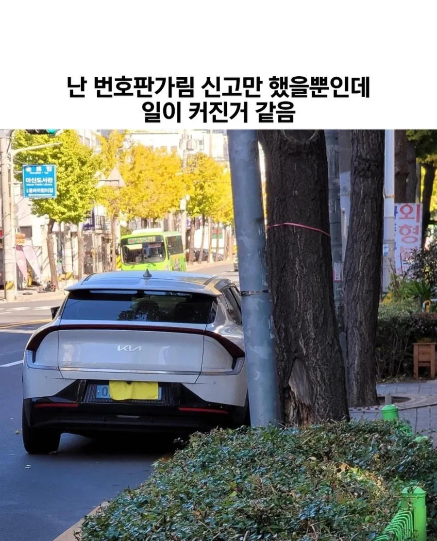 번호판 가림 신고한 사람 후기...