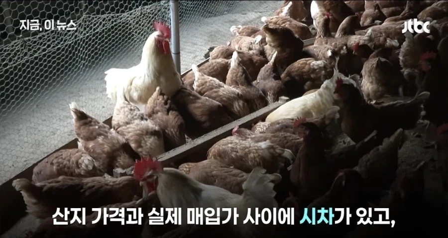 치킨값이 비싼이유 - 이미지 6