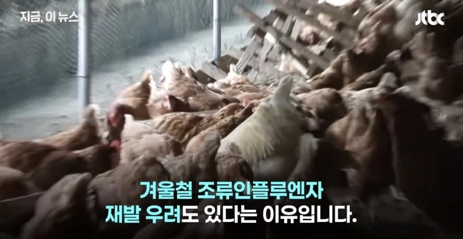 치킨값이 비싼이유 - 이미지 7