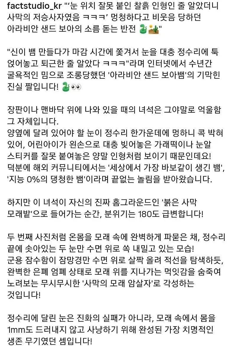 인터넷 사진 때문에 비웃음당하는 뱀.jpg - 이미지 4