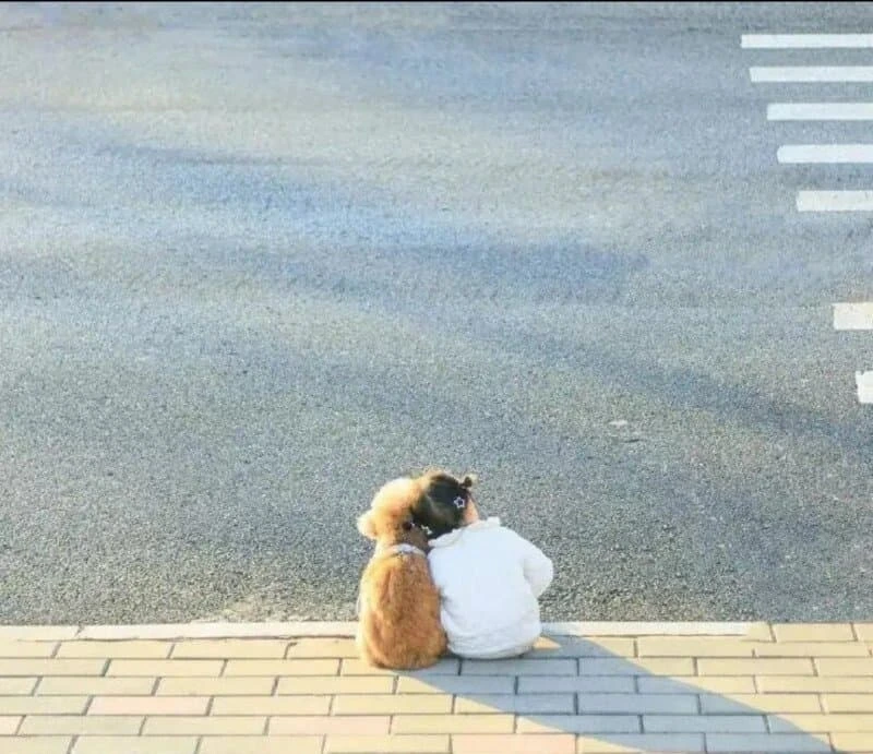 키우는 애완 동물에 따라 달라지는 집안 분위기 ㄷㄷㄷ