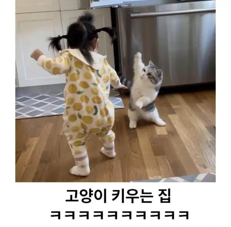 키우는 애완 동물에 따라 달라지는 집안 분위기 ㄷㄷㄷ - 이미지 2