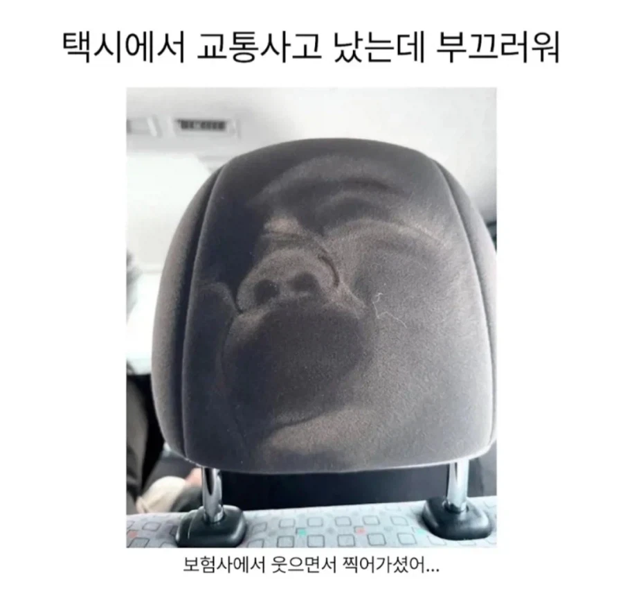 보험사: 이건 정말 중요한 증거입니다ㅋㅋㅋ