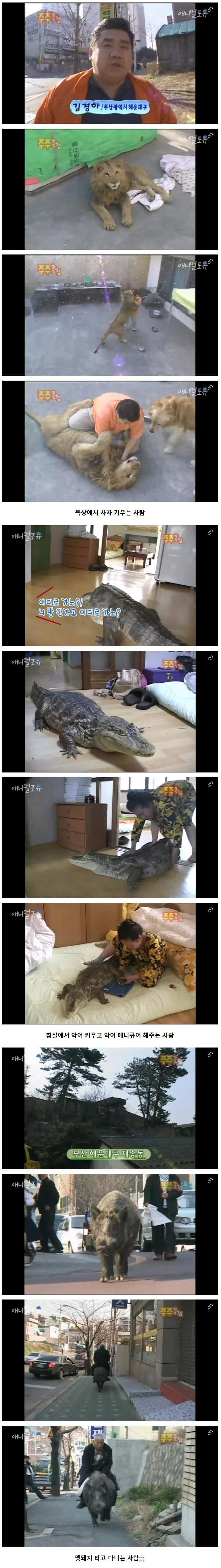 부산의 특이한 애완동물들 ㅋㅋㅋㅋㅋㅋ
