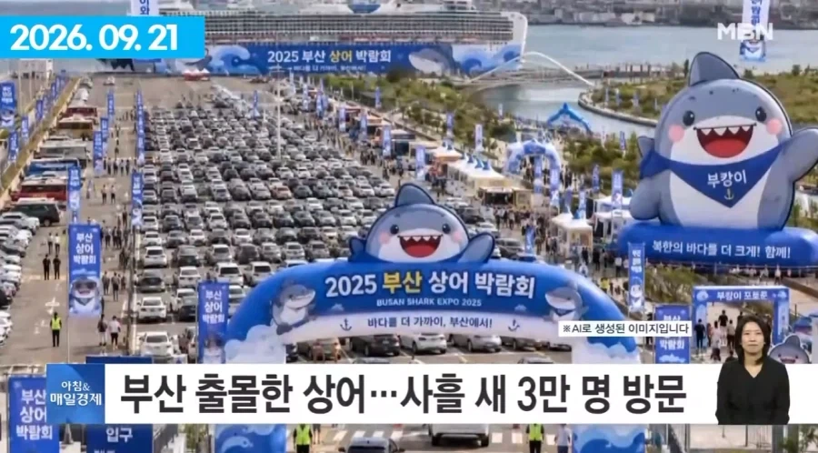 여수섬박람회 부산 상어에 N번째 사망.jpg