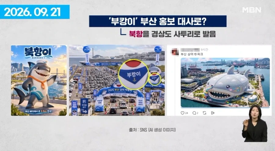 여수섬박람회 부산 상어에 N번째 사망.jpg - 이미지 2