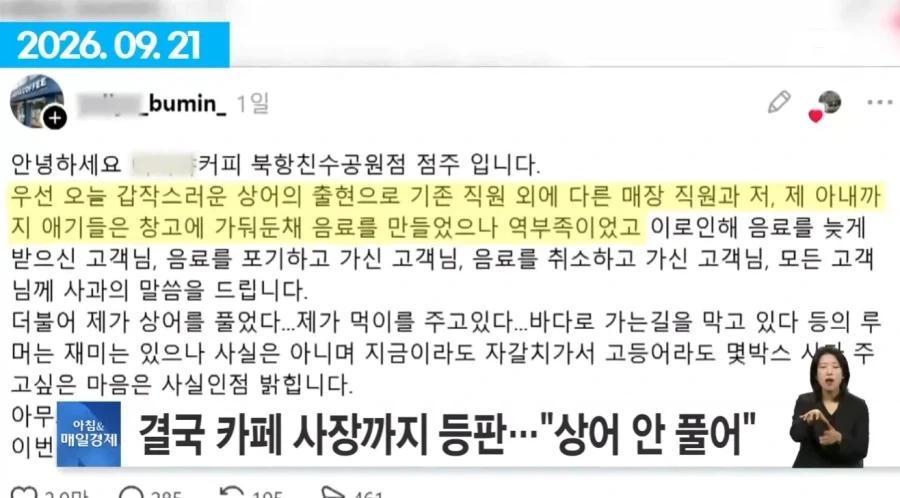 여수섬박람회 부산 상어에 N번째 사망.jpg - 이미지 4