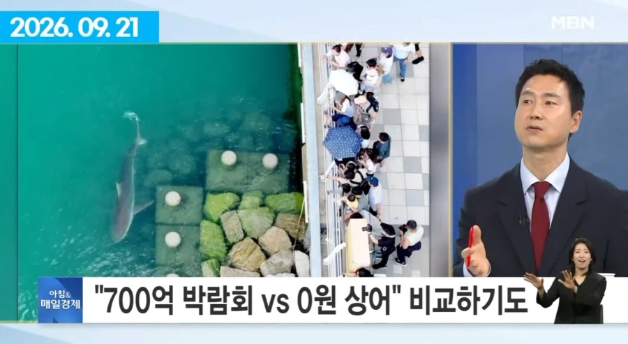 여수섬박람회 부산 상어에 N번째 사망.jpg - 이미지 5