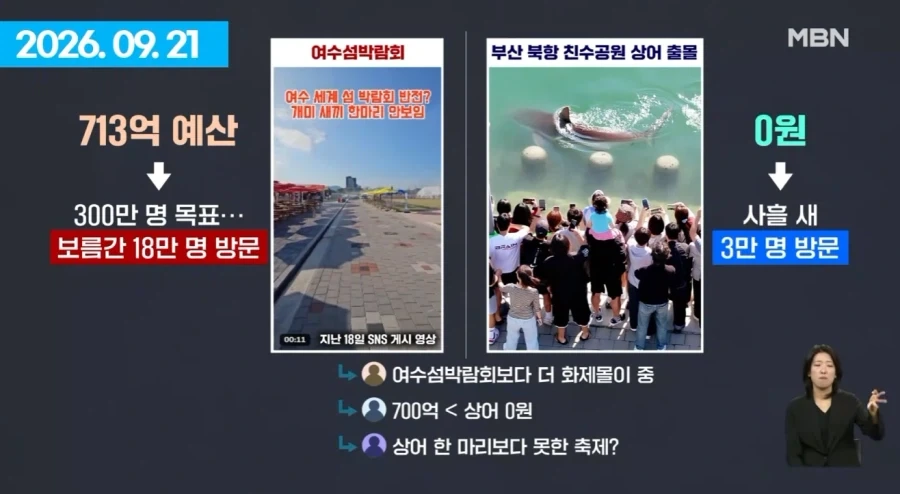여수섬박람회 부산 상어에 N번째 사망.jpg - 이미지 6