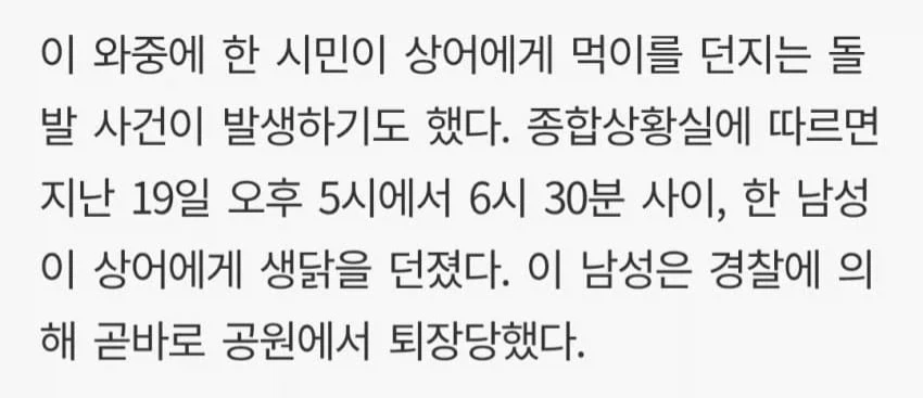 상어한테 생닭 던졌다가 해경에게 잡혀간 남성.jpg - 이미지 2