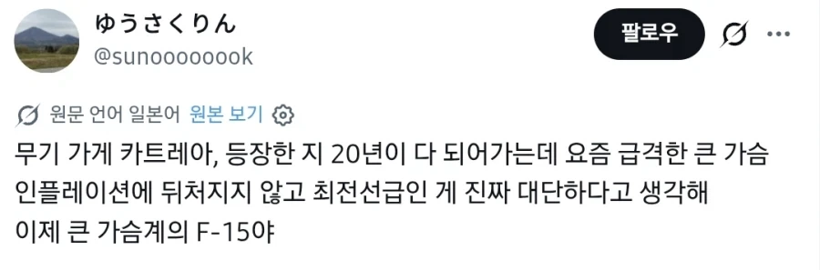 20년이 지나도 뒤쳐지지 않는 가슴계의 F-15.JPG