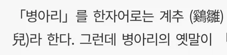 병아리도 한자가 있네