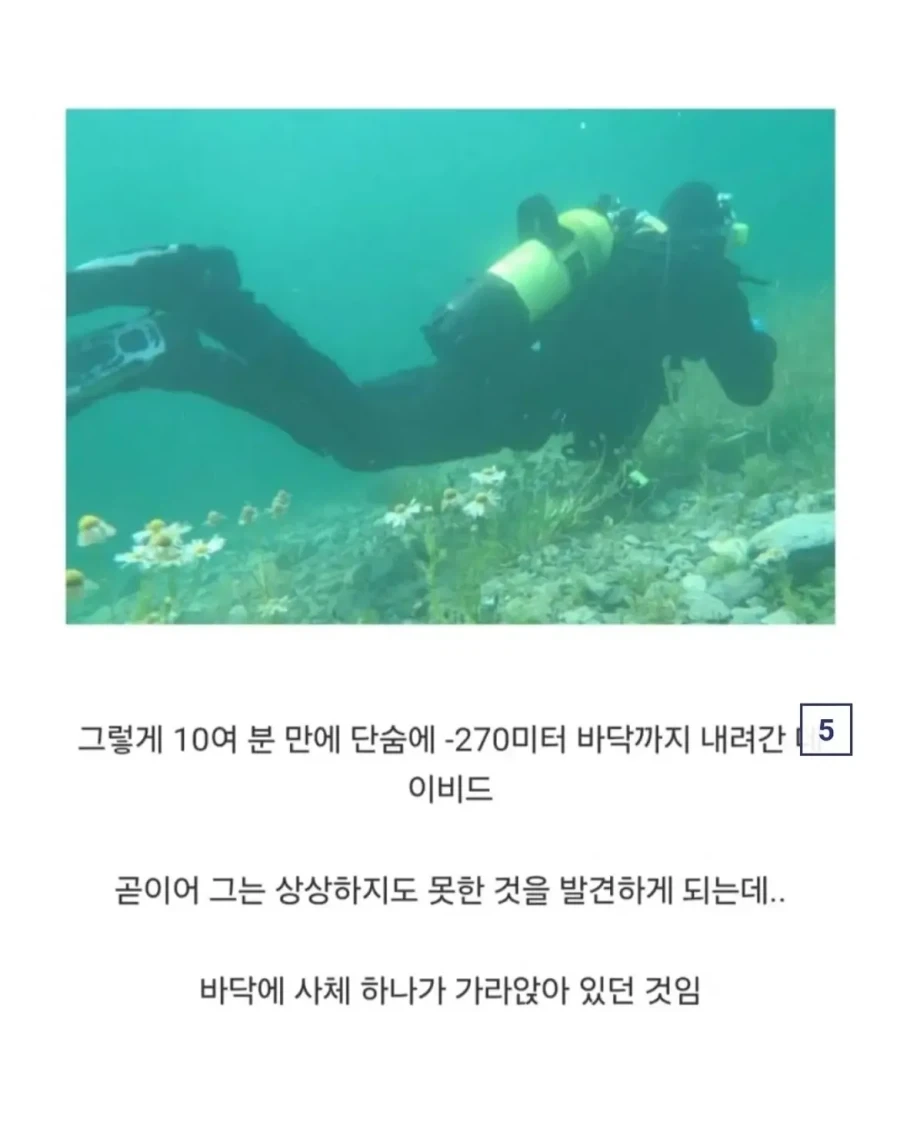 의외로 다이버가 사체를 회수하다가 벌어진 사건.jpg - 이미지 4