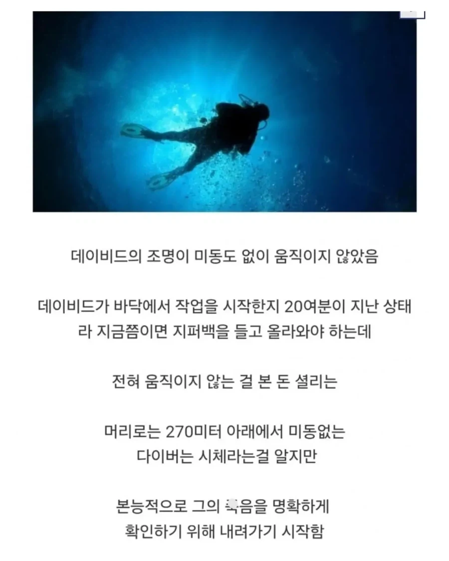 의외로 다이버가 사체를 회수하다가 벌어진 사건.jpg - 이미지 10