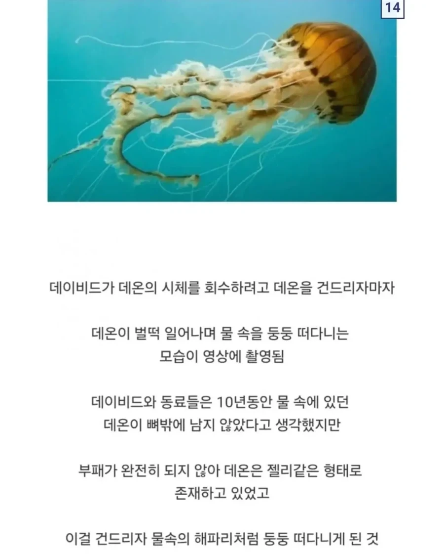 의외로 다이버가 사체를 회수하다가 벌어진 사건.jpg - 이미지 16