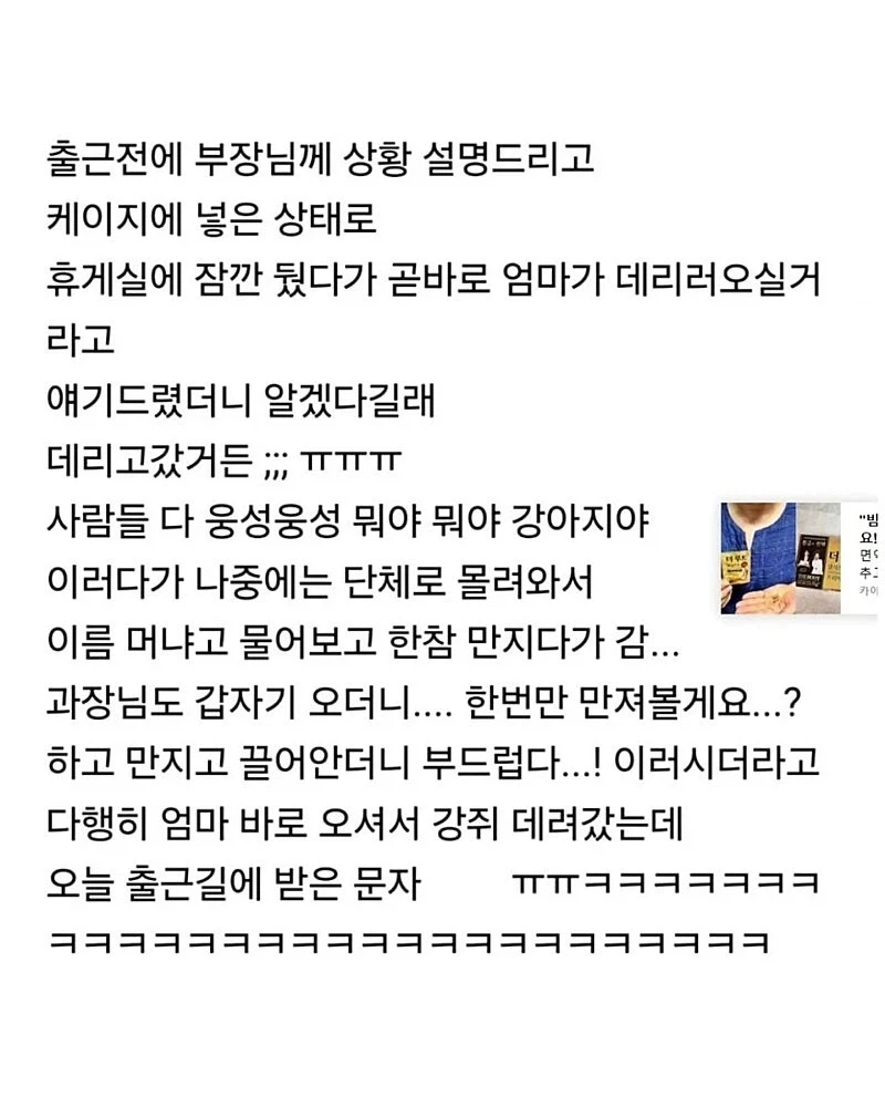 사정이 있어서 강아지 데리고 출근했는데.jpg - 이미지 2
