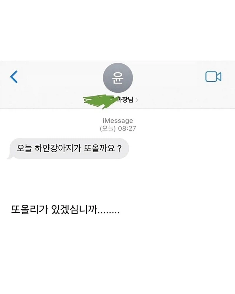 사정이 있어서 강아지 데리고 출근했는데.jpg - 이미지 3