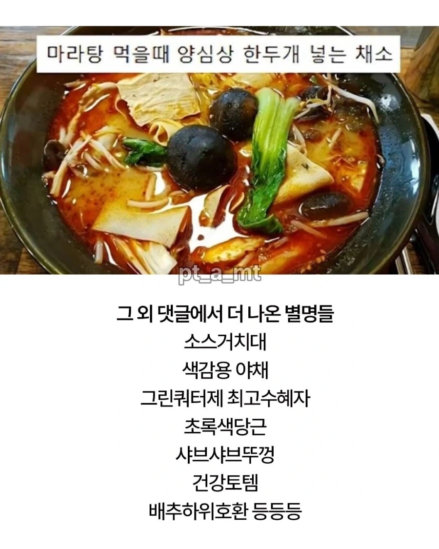 사람들에게 이름으로 안불리는 야채 - 이미지 3