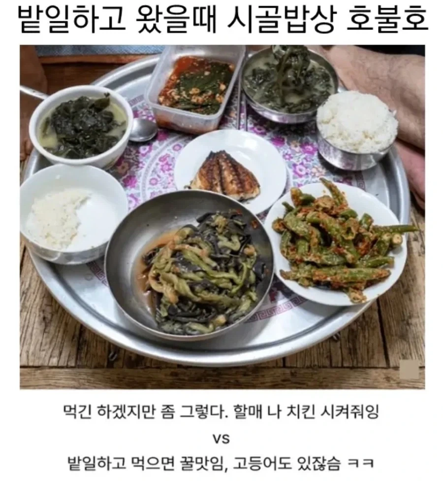 밭일하고 왔을때 시골밥상 호불호