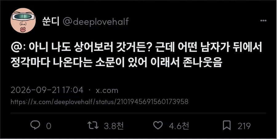 부산 상어에 대한 소문