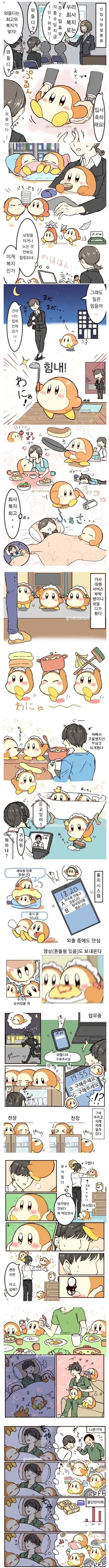 회사 복지로 웨이들 디 주는 만화