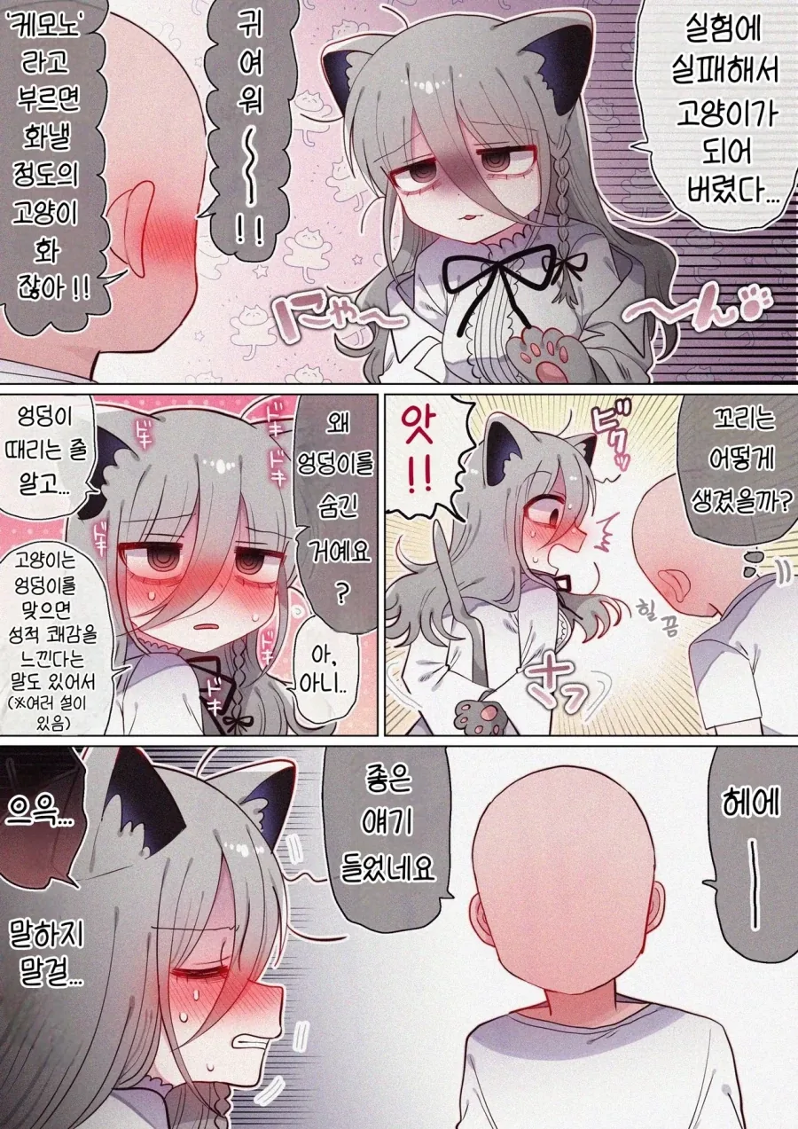 실험 실패로 고양이가 된 다우너 연구원 누나.manhwa