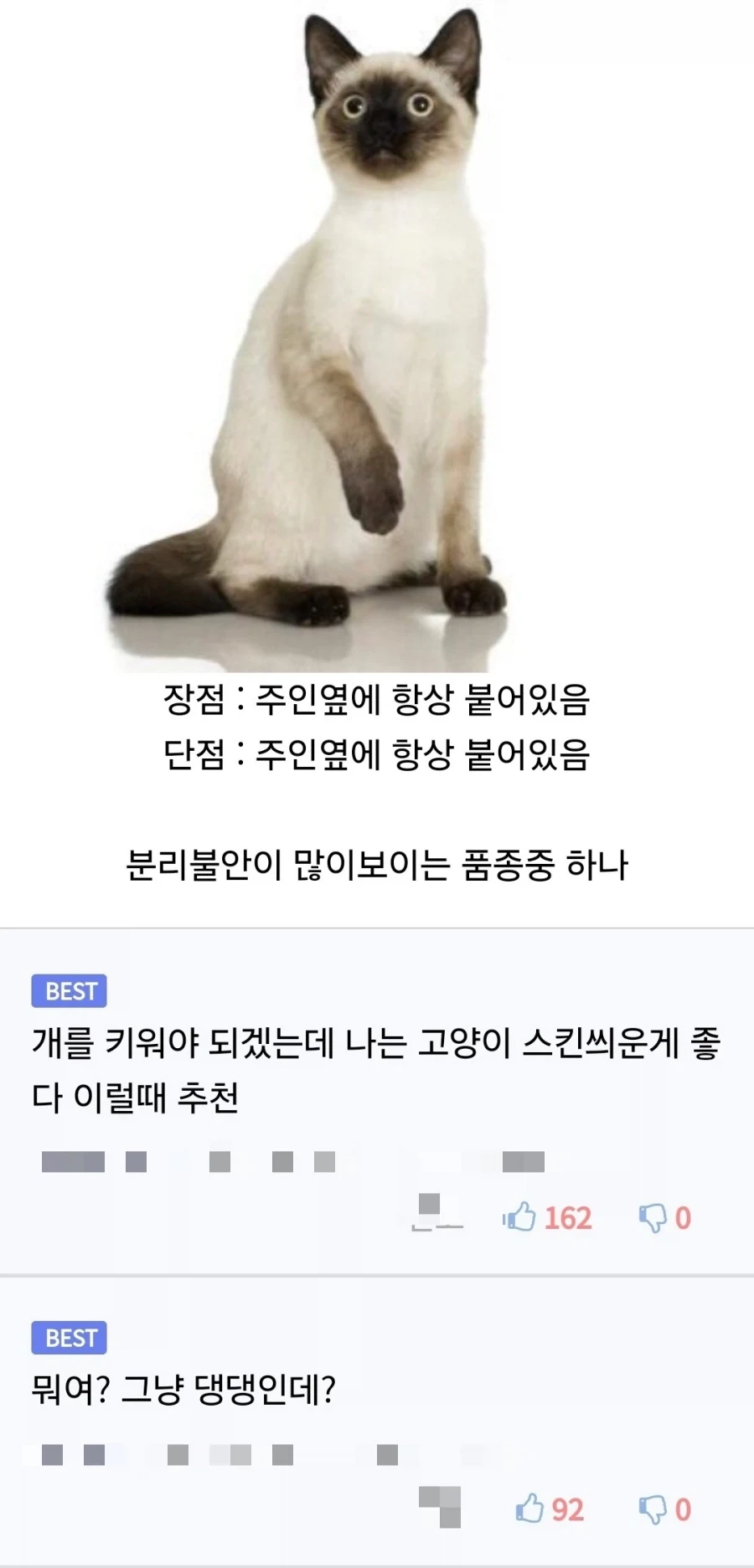 고양이 스킨을 쓴 개를 키우고 싶을때.jpg
