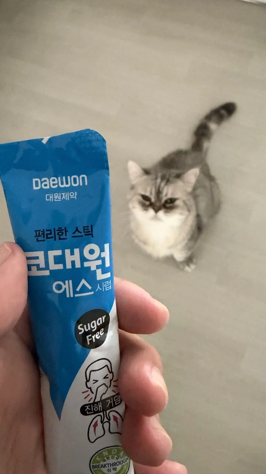 츄르인지 의심하는 고양이