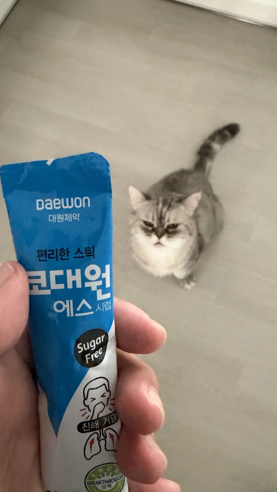 츄르인지 의심하는 고양이 - 이미지 2