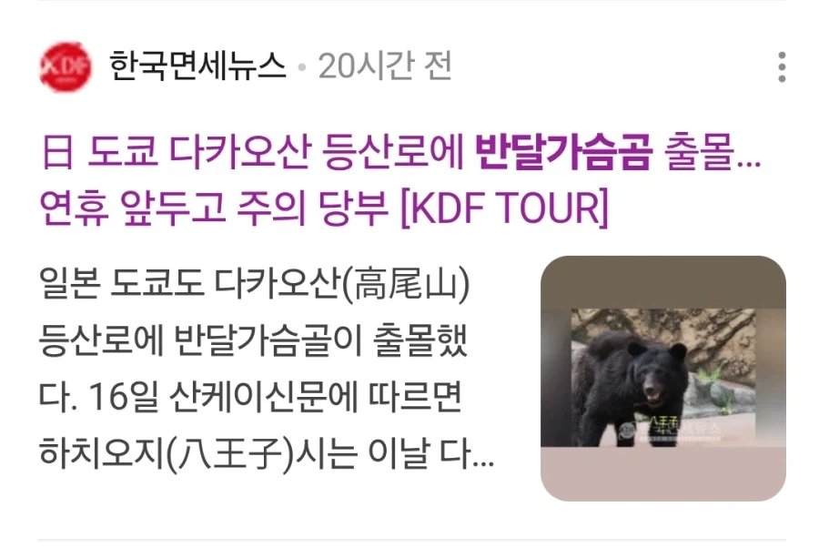 ?? : 한국에서 상어 때문에 관광객이 늘었다고?
