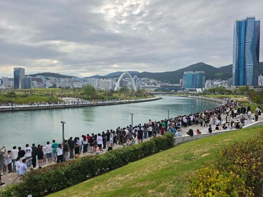 상어 덕에 친수공원에 임시로 형성된 상권 - 이미지 2