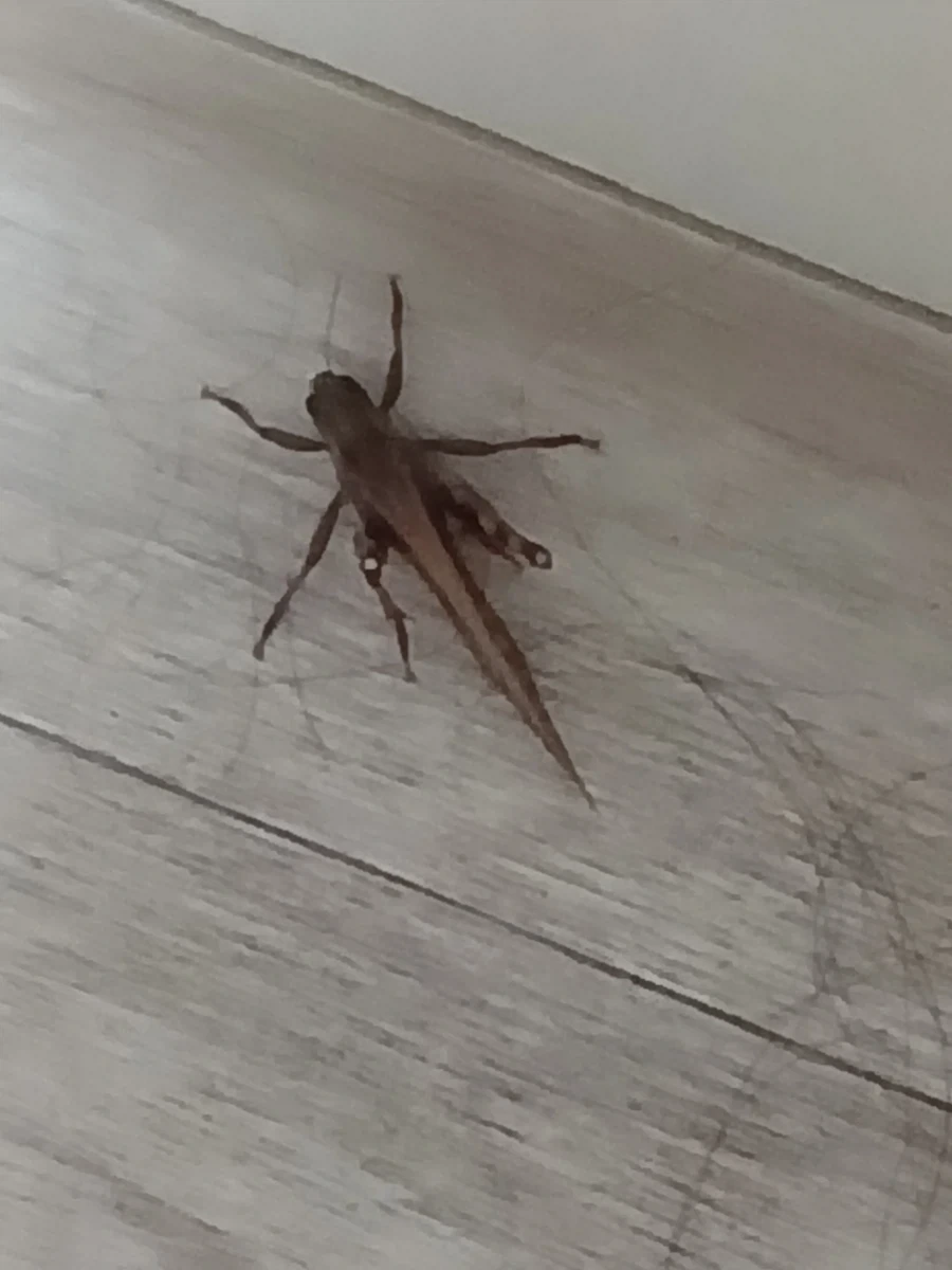야 이건 진짜 아니자나ㅋㅋ