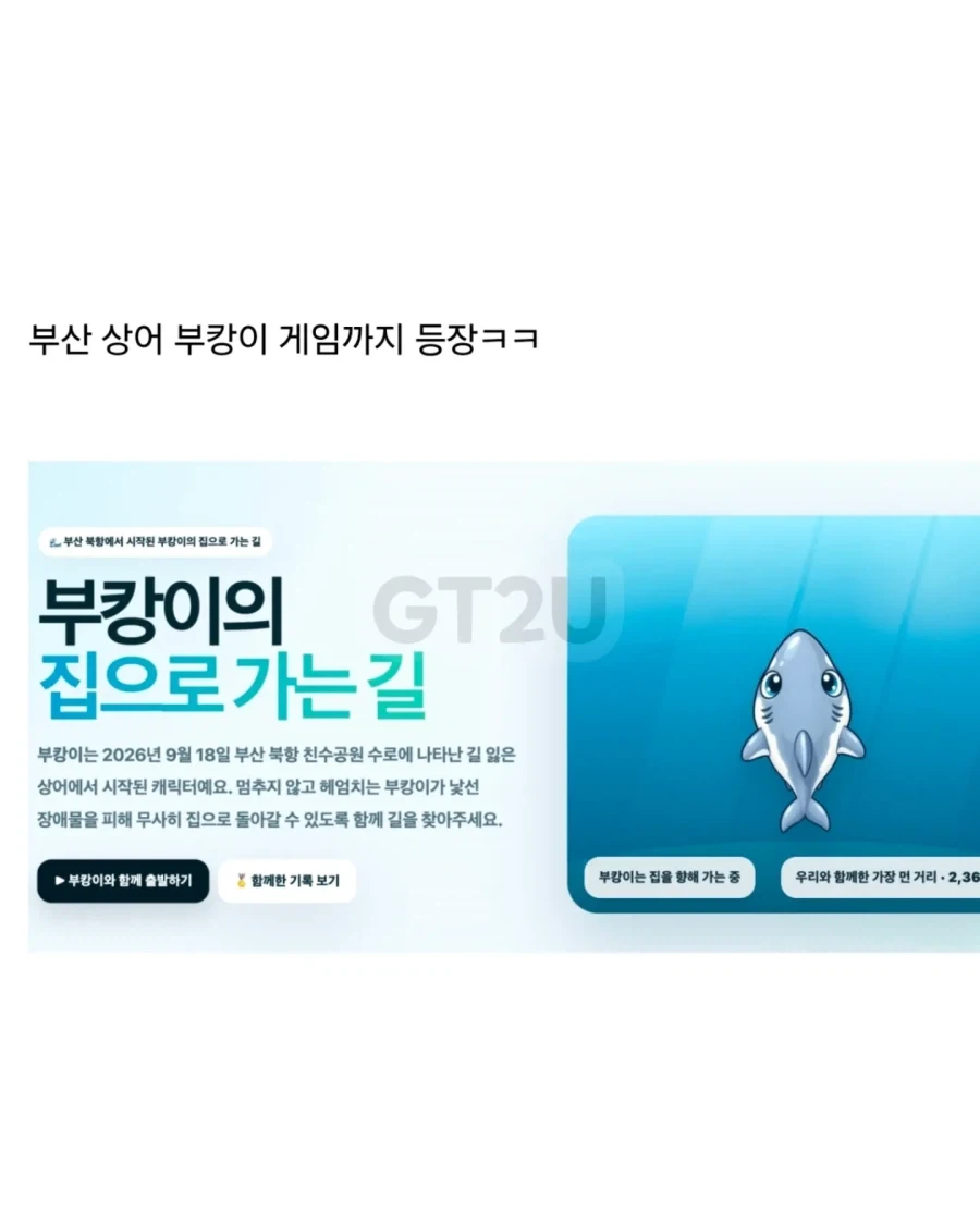 부산상어 게임까지 등장...