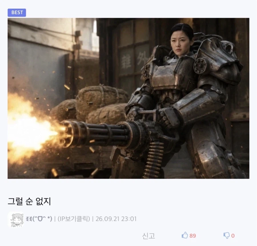 재판 끝나고 집 가는 현직 경찰의 넋두리 - 이미지 2
