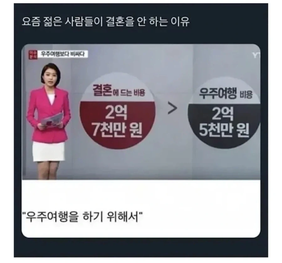 결혼 안하는 이유