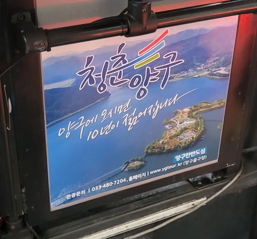 양구군의 허위과장광고