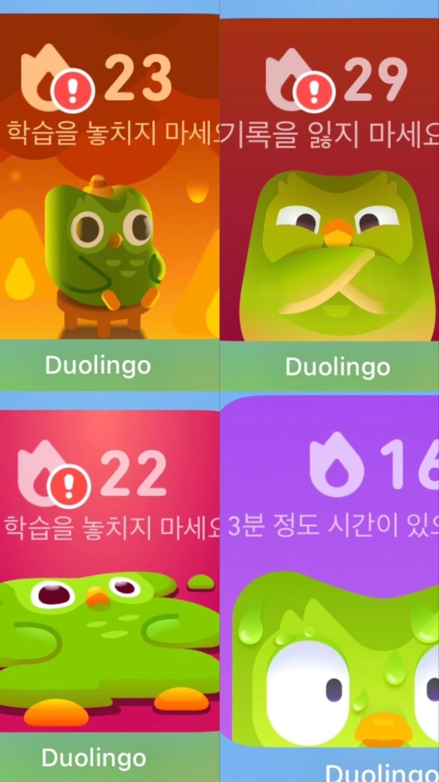 " 마지막 기회예요! "
