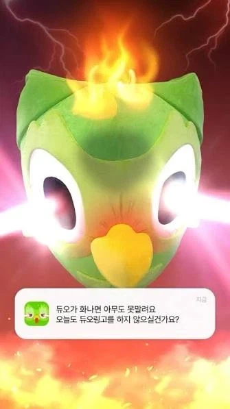 " 마지막 기회예요! " - 이미지 4