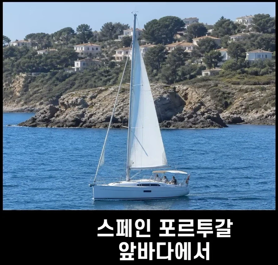 범고래가 사람을 공격하는 사례가 부쩍 늘어난 이유 - 이미지 2