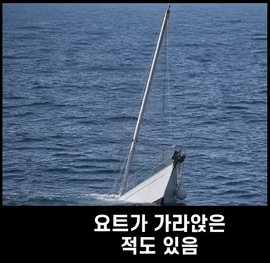 범고래가 사람을 공격하는 사례가 부쩍 늘어난 이유 - 이미지 5