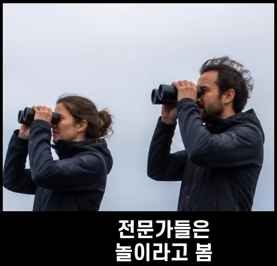 범고래가 사람을 공격하는 사례가 부쩍 늘어난 이유 - 이미지 7