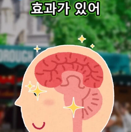 머리가 좋아지는 사과 씨앗.jpg - 이미지 13