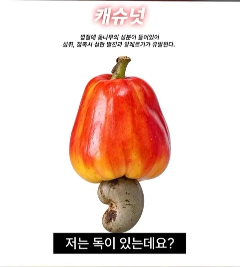 독성물질을 먹기위한 인류의 노력